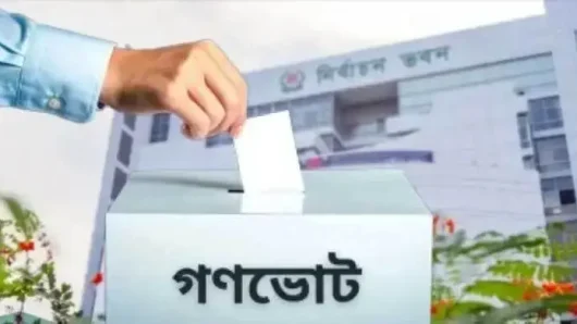 ছয় মন্ত্রণালয় গণভোট প্রচারে বাগিয়ে নিচ্ছে ১৪০ কোটি