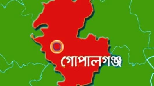 গোপালগঞ্জে ভোটের হার কম, জয়ী ‘না’ ভোট