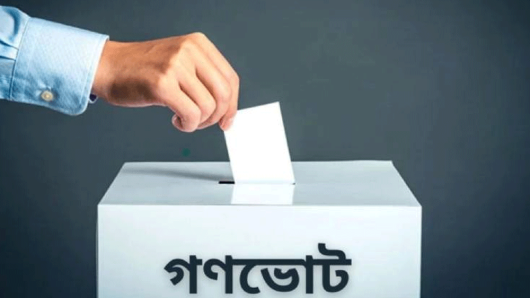 গণভোটের ফল জানা গেল
