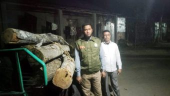 কমলগঞ্জের রেল ক্রসিং এলাকা থেকে কেটে নেয়া গাছ উদ্ধার