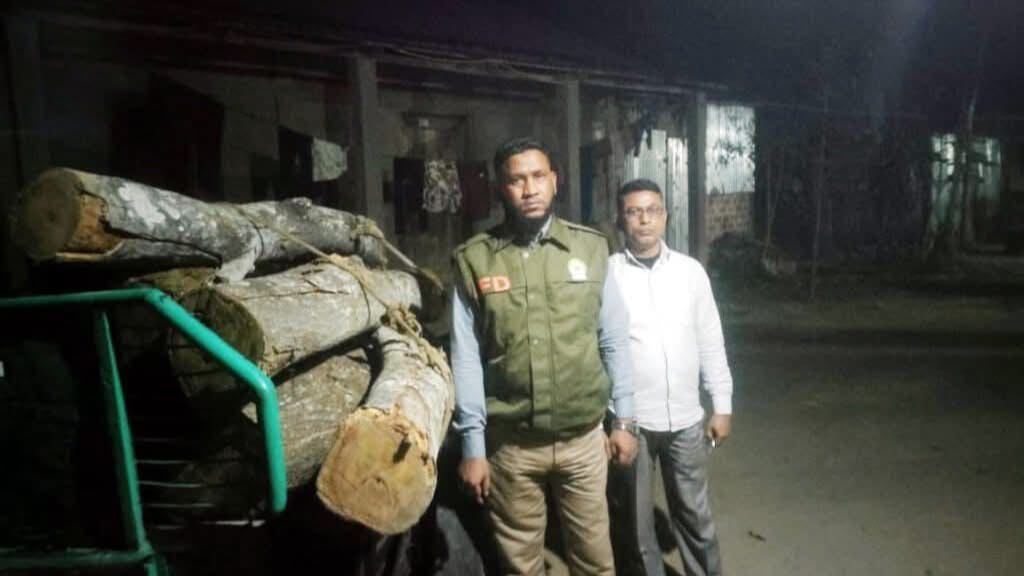 কমলগঞ্জের রেল ক্রসিং এলাকা থেকে কেটে নেয়া গাছ উদ্ধার