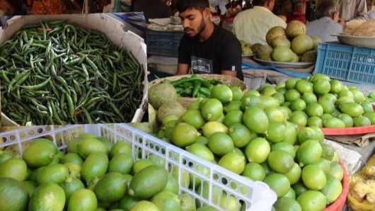 লেবু এক হালি ১০০ টাকা, কাঁচা মরিচ ২৫০