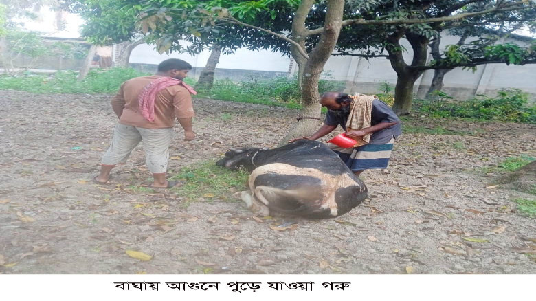 বাঘায় অগ্নিকান্ডে ক্ষতি ৬ লক্ষ টাকা 