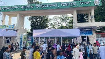 ঈদের দিনে চিড়িয়াখানায় দর্শনার্থীদের উপচে পড়া ভিড়