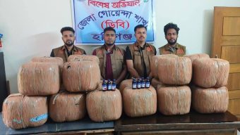 Cannabis, Eskuf syrup seized in Habiganj’s Madhabpur; one held