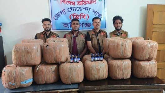 Cannabis, Eskuf syrup seized in Habiganj’s Madhabpur; one held