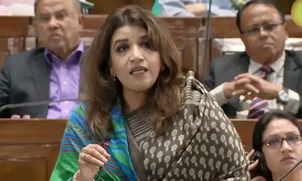 মুক্তিযুদ্ধের চেতনা বিক্রি করি না, ধারণ করি : পররাষ্ট্র প্রতিমন্ত্রী