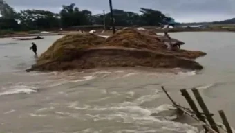 পাহাড়ি ঢলে বাঁধ ভেঙে পানি ঢুকছে হাওরে, বোরো ধান নিয়ে শঙ্কায় কৃষকরা