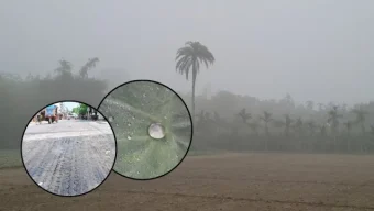 চুয়াডাঙ্গায় দাবদাহে গলছে সড়কের পিচ, একই দিনে কুড়িগ্রামে ঘনকুয়াশা