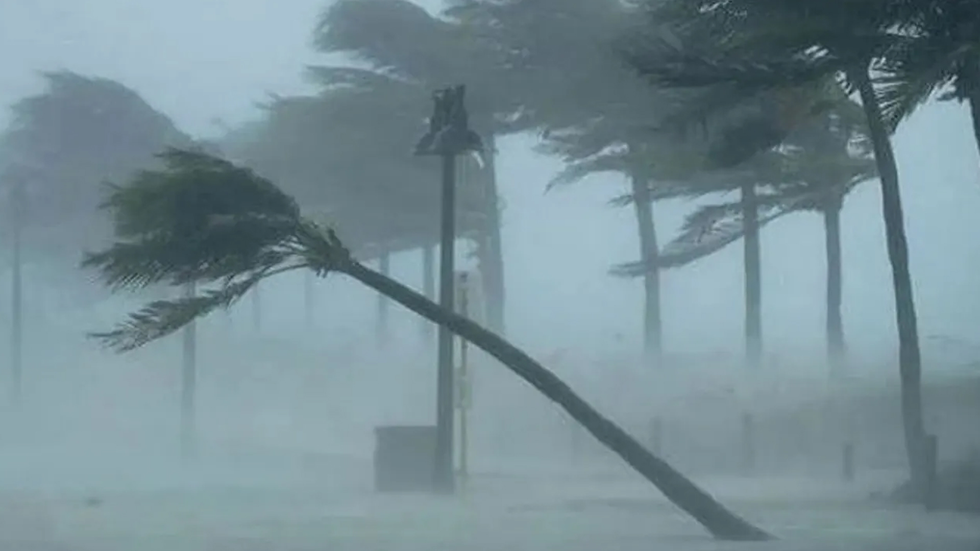 দেশের কয়েকটি অঞ্চলে সকাল ৯টার মধ্যে ৪ অঞ্চলে ৮০ কিমি বেগে ঝড়ের শঙ্কা