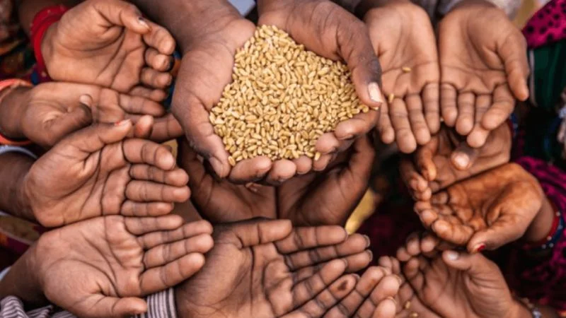 খাদ্য সংকটে পড়া বিশ্বের দুই-তৃতীয়াংশ মানুষই বাংলাদেশসহ ১০ দেশের