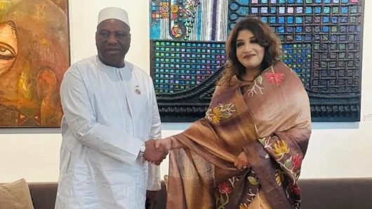 গিনির পররাষ্ট্রমন্ত্রীর সঙ্গে শামা ওবায়েদের সাক্ষাৎ