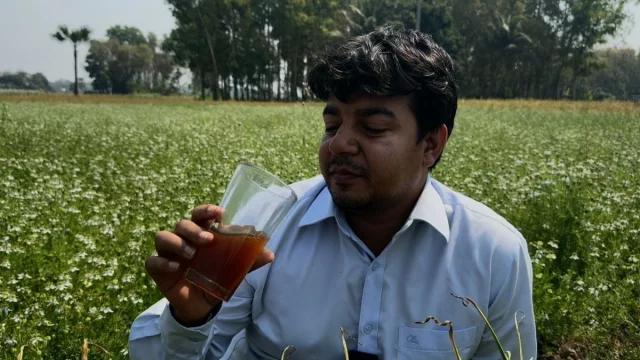 সীমান্ত বাংলাদেশিদের জন্য অনিরাপদ হলে, বিএসএফকেও ঘুমাতে দেওয়া যাবে না: তারেক