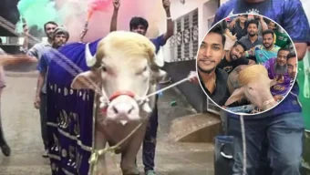 ডোনাল্ড ট্রাম্প’কে থানা থেকে নেওয়া হচ্ছে চিড়িয়াখানায়