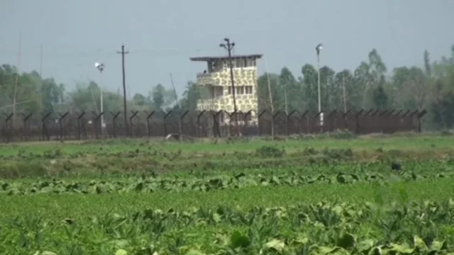 সীমান্তে ভারতীয় চোরাকারবারীদের লক্ষ্য করে বিজিবির গুলি