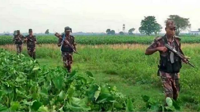 কুষ্টিয়ার দৌলতপুর সীমান্তে মাইকিং করে সতর্কতা জারি