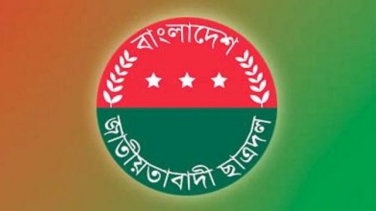 সাত বিশ্ববিদ্যালয়সহ ২৯ শিক্ষাপ্রতিষ্ঠান ও জেলা-নগরে ছাত্রদলের নতুন কমিটি