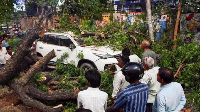 ভারী বৃষ্টিপাত ও ঝড়ে লন্ডভন্ড ভারতের উত্তর প্রদেশ, নিহত প্রায় ৯০