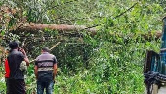 ঝড়ে গাছ পড়ে সাড়ে ৫ ঘন্টা যান চলাচল বন্ধ: এখন স্বাভাবিক