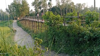 নাগরপুরে ঝুঁকিপূর্ণ সাঁকোতে প্রতিদিন হাজারো মানুষের যাতায়াত