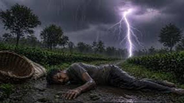 বজ্রপাতে পাঁচ চা-শ্রমিক নারী আহত