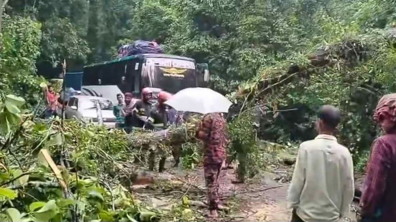 কালবৈশাখী ঝড়ে লাউয়াছড়ার সড়কে গাছ উপড়ে জনবিঘ্নিত