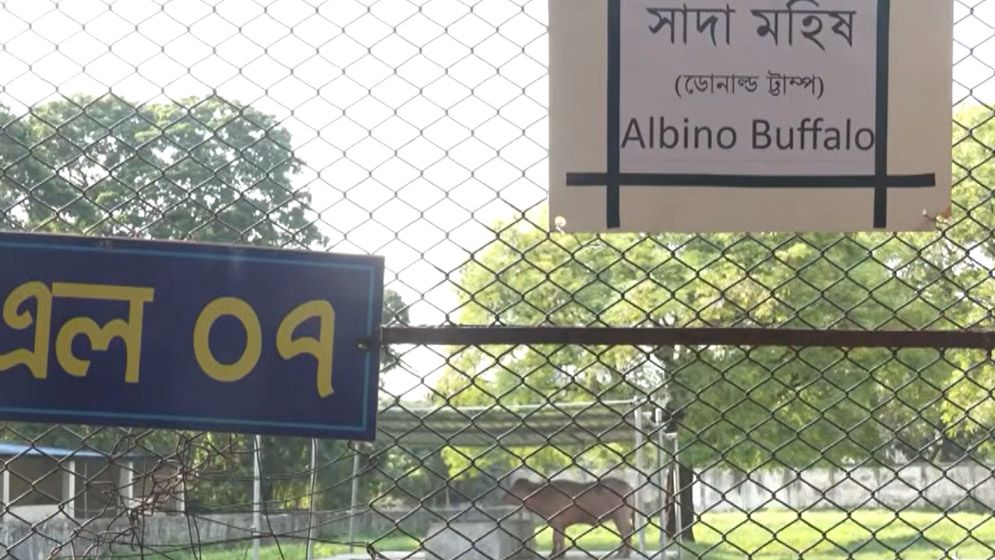ডোনাল্ড ট্রাম্প’ বানান ভুল লিখে ভাইরাল চিড়িয়াখানা কর্তৃপক্ষ