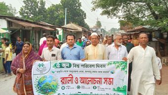 বাঘায় বিশ্ব পরিবেশ দিবসে র‌্যালি ও আলোচনা সভা