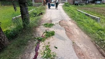 বাঘায় ভাঙা রাস্তার উঁচু ব্রিজে আম ভর্তি ভ্যান উল্টে চালক নিহত; রাস্তা মেরামতের দাবি এলাকাবাসীর 