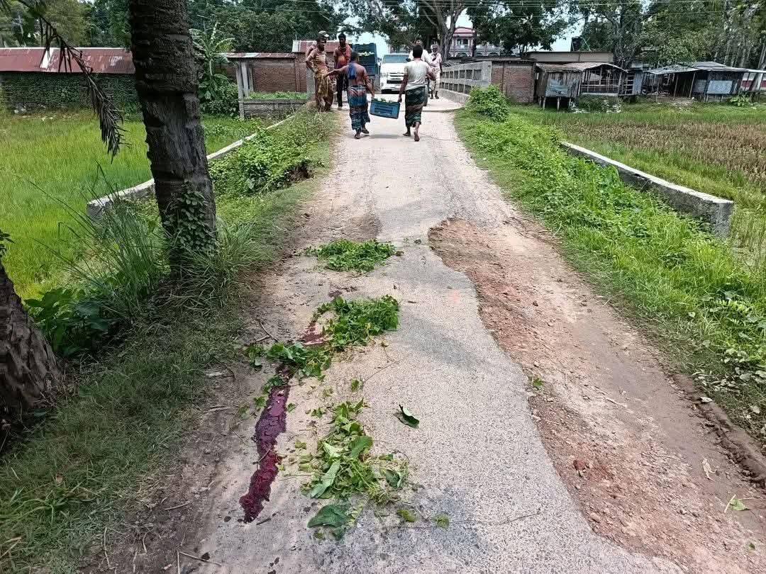 বাঘায় ভাঙা রাস্তার উঁচু ব্রিজে আম ভর্তি ভ্যান উল্টে চালক নিহত; রাস্তা মেরামতের দাবি এলাকাবাসীর 