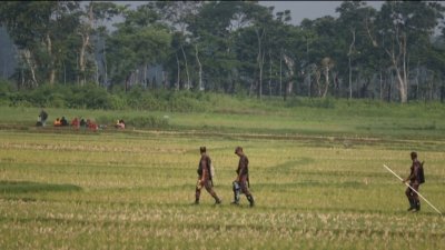 সীমান্তে ফের ‘পুশ-ইন’ উত্তেজনা: কঠোর অবস্থানে বিজিবি