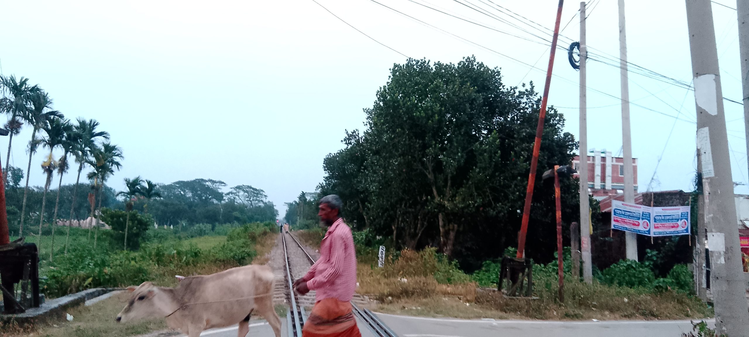 শায়েস্তাগঞ্জের কুতুবের চক রেলগেটে দীর্ঘ সময় গেইটম্যান অনুপস্থিতির অভিযোগনিরাপত্তা জোরদারের দাবি স্থানীয়দের”