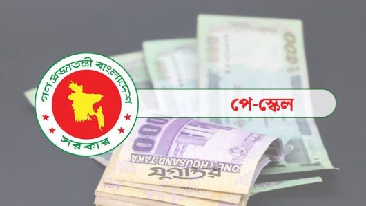 আগামী ১ জুলাই থেকে নতুন পে স্কেল, সম্ভাব্য বেতনের তালিকা প্রকাশ