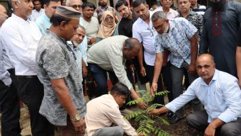 গ্রিন-ক্লিন সিলেট গড়তে বেশি করে গাছ লাগাতে হবে: সিসিক প্রশাসক কাইয়ুম 