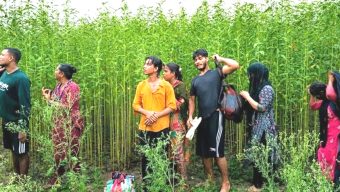 কুষ্টিয়া সীমান্তে ৮ জনকে পুশইনের চেষ্টা রুখে দিল বিজিবি