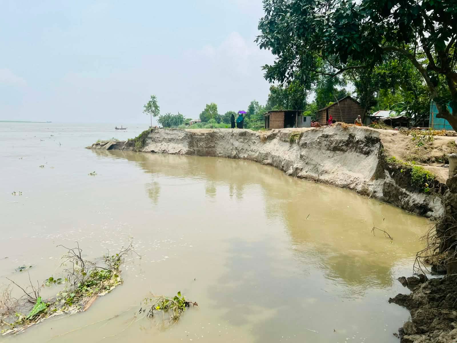 নাগরপুরে তীব্র নদী ভাঙ্গন অর্ধশত বসত বাড়ি,মসজিদ ও ফসলি জমি নদী গর্ভে বিলীন