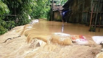 কুশিয়ারার পানি বিপৎসীমার উপরে
