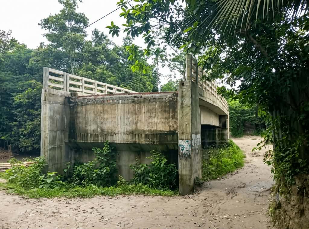 নাগরপুরে প্রায় ৪ কোটি টাকার সেতু নির্মাণ অ্যাপ্রোচ সড়ক না থাকায় দুর্ভোগে ১৫ গ্রামের মানুষ