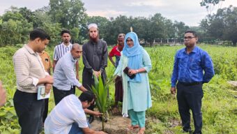 বাঘার আড়ানিতে বৃক্ষরোপণ ও ডেঙ্গু প্রতিরোধে পরিচ্ছন্নতা অভিযান জোরদার 