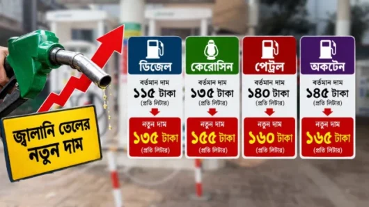 এবার প্রতি লিটারে জ্বালানি তেলের দাম ২০ টাকা বাড়াল সরকার