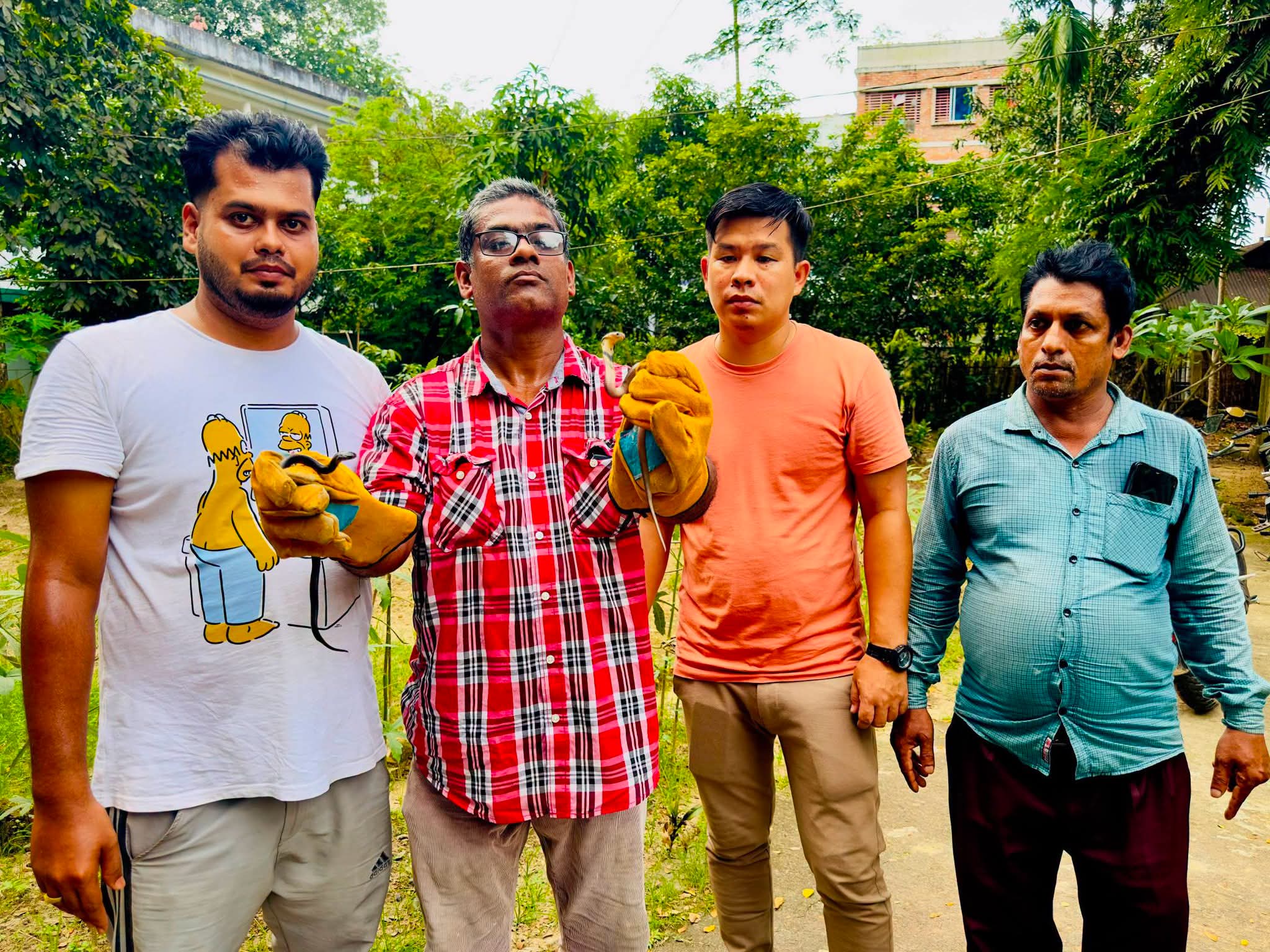 কমলগঞ্জে বসতবাড়ির সিঁড়ির নিচ থেকে কোবরার বাচ্চা উদ্ধার