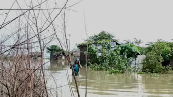 সাপ আতঙ্কে পানিবন্দি ৫০ হাজার মানুষ