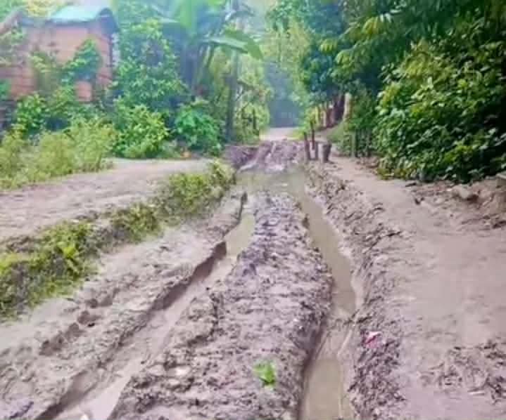 নাগরপুরে সারোটিয়াগাজী রাস্তার বেহাল দশা দুর্ভোগে হাজারো মানুষ