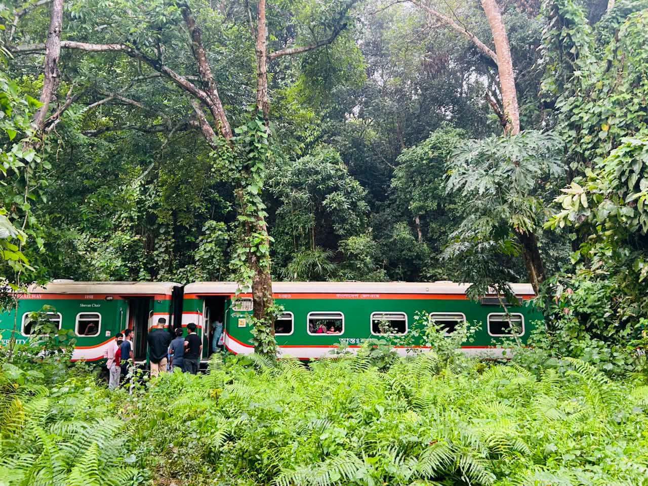 লাউয়াছড়া বনে ‘পাহাড়িকা এক্সপ্রেস’ ট্রেনের হুক ছিঁড়ে ৭ বগি বিচ্ছিন্ন, সিলেটের সঙ্গে রেল যোগাযোগ বন্ধ