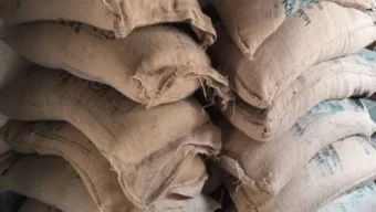 ভারত থেকে আনা ১৩৫ টন চালে মিলল বিষাক্ত উপাদান